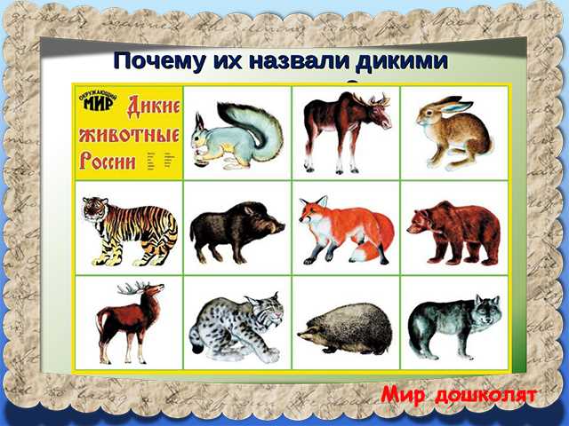 Природная среда обитания