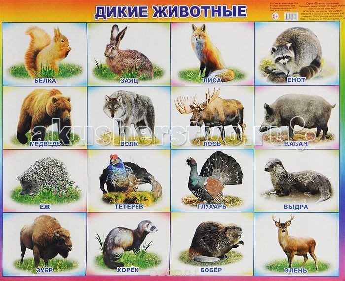 Адаптации к экстремальным условиям