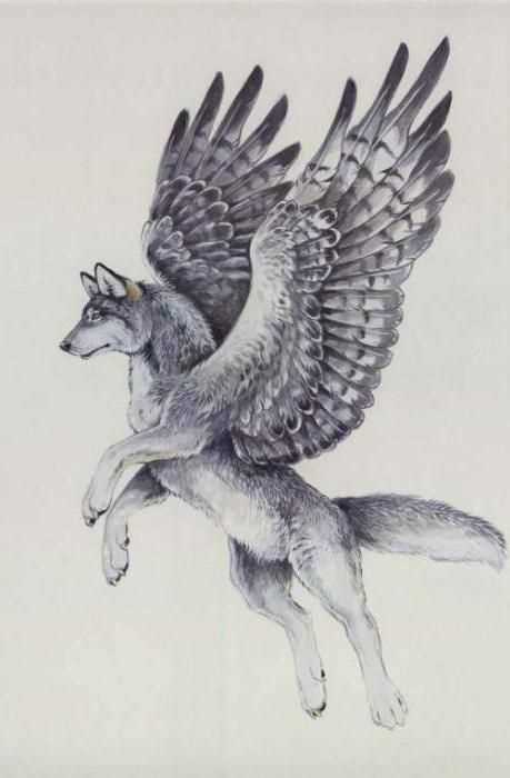 Появление легенды о волках с крыльями