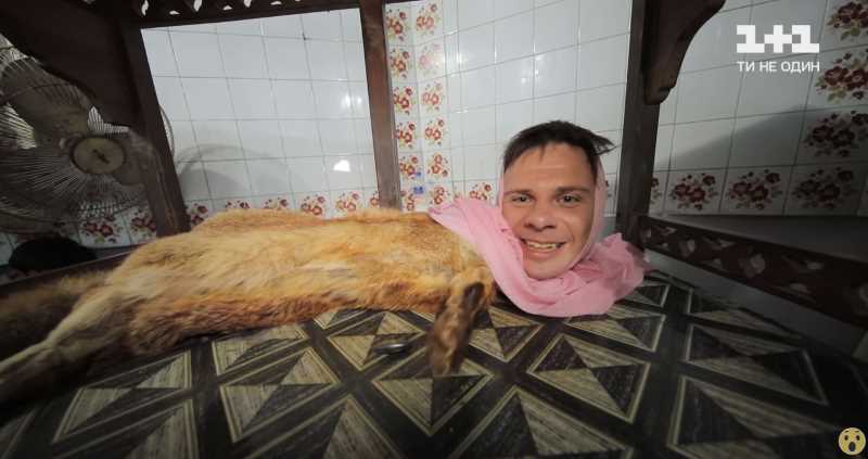 Поведение и образ жизни человека лиса