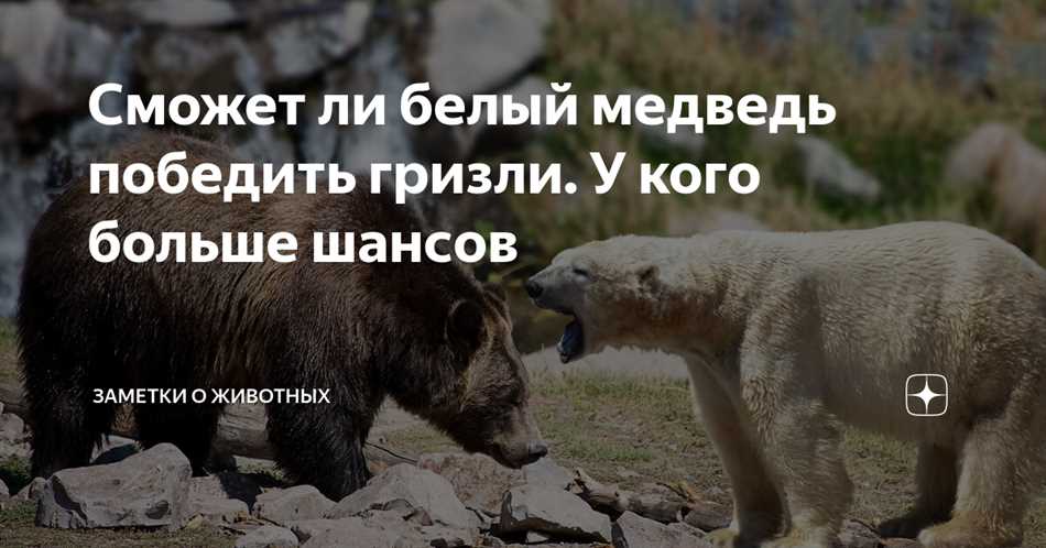 Пищевой рацион