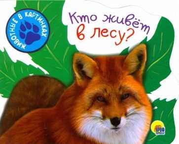 Насекомые