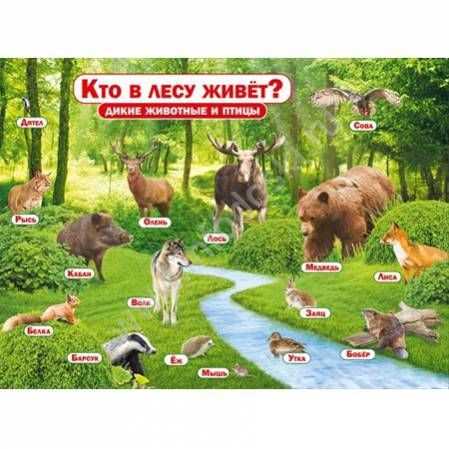 Кто живет в лесу?