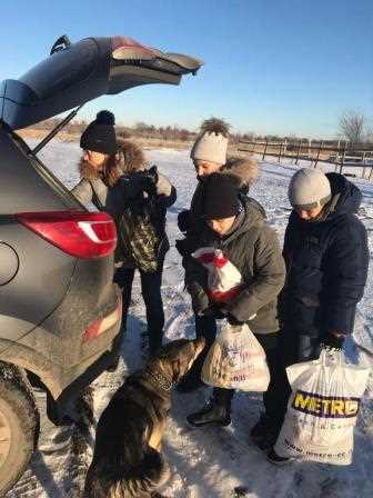 Способы укрепления связи между собакой и человеком