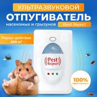 Может ли ультразвуковой отпугиватель реально отпугивать мышей в доме?