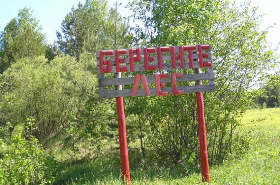 Основная информация о посещении леса
