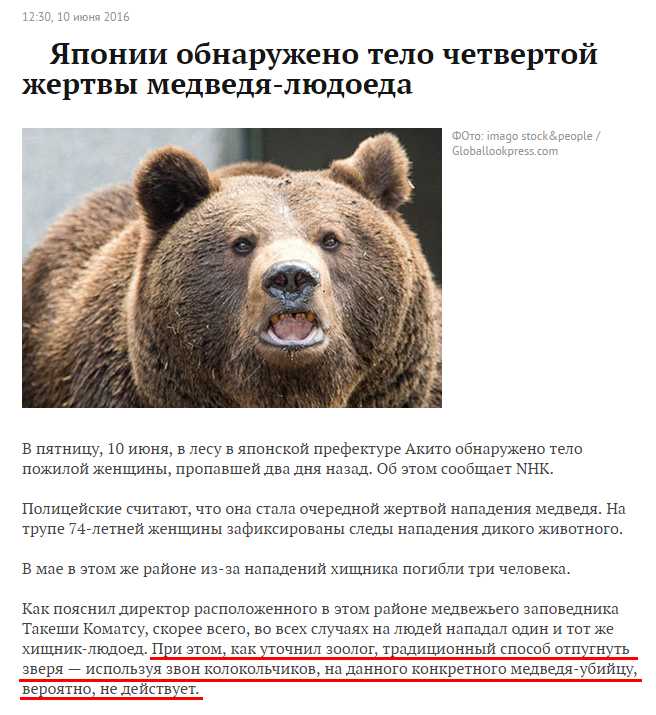 Можно ли шумом очень громким отпугнуть медведя в лесу?