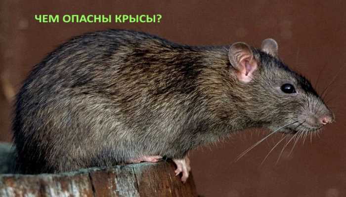 Повышение риска пожара