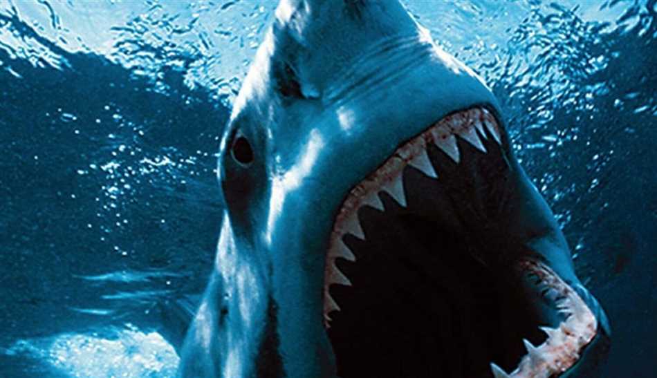 Почему белая акула самая опасная?