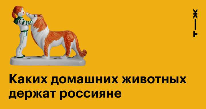 Влияние домашних животных на физическое и психическое здоровье