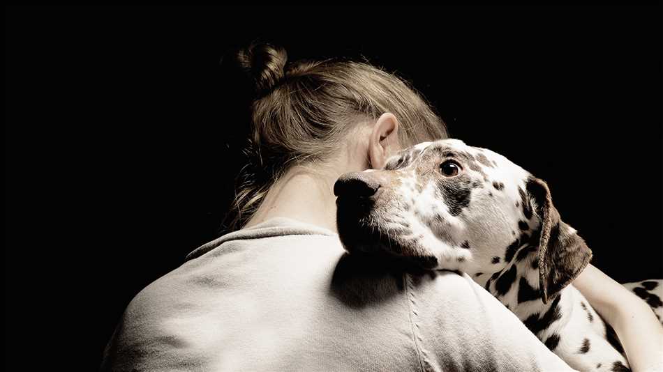 Отсутствие сложной эмоциональной динамики в отношениях с животными