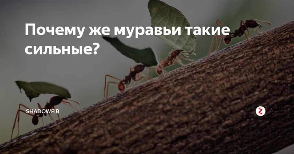 Сотрудничество искусственно развиваемых муравьев