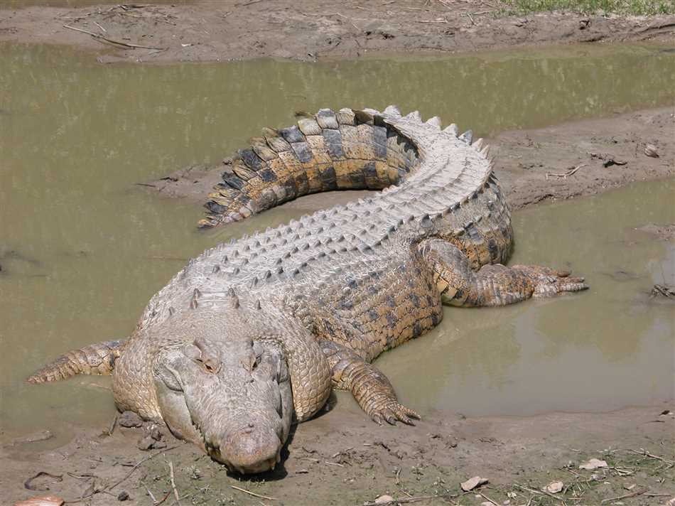 Угроза для жизни