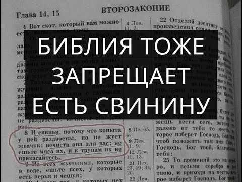 4. Растительные белковые источники