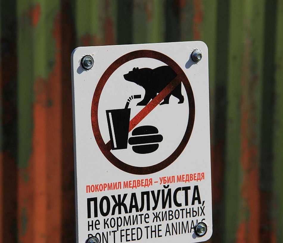 Проблемы с пищеварением