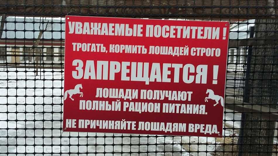 Почему нельзя кормить животных в зоопарке?