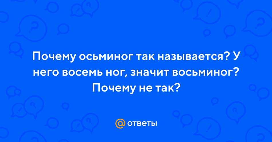 Количество лап у осьминога