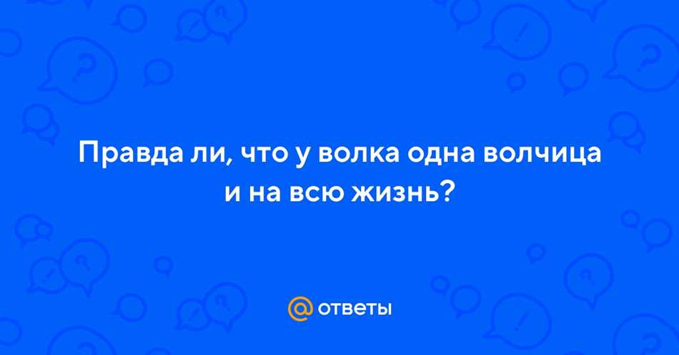 Особенности волчьей размножения