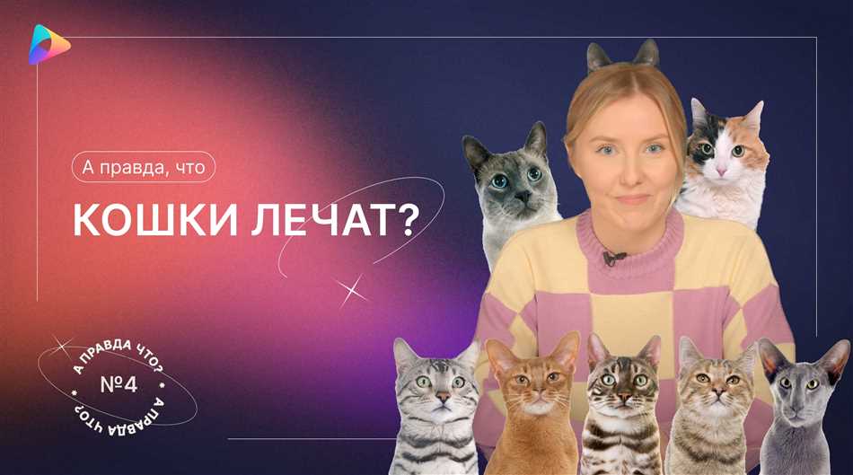 Правда ли что кошки лечат?