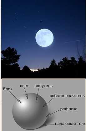  Состав и структура 