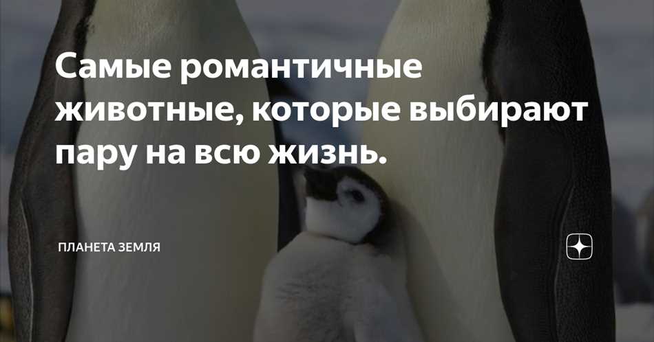 Всемирно известные танцы вокруг партнера