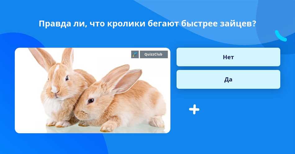 Причины скорости бега кроликов