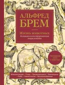 Кит - самое крупное животное на планете
