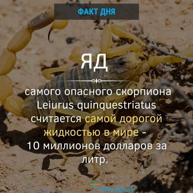 Знаменитые личности, использующие самую дорогостоящую жидкость
