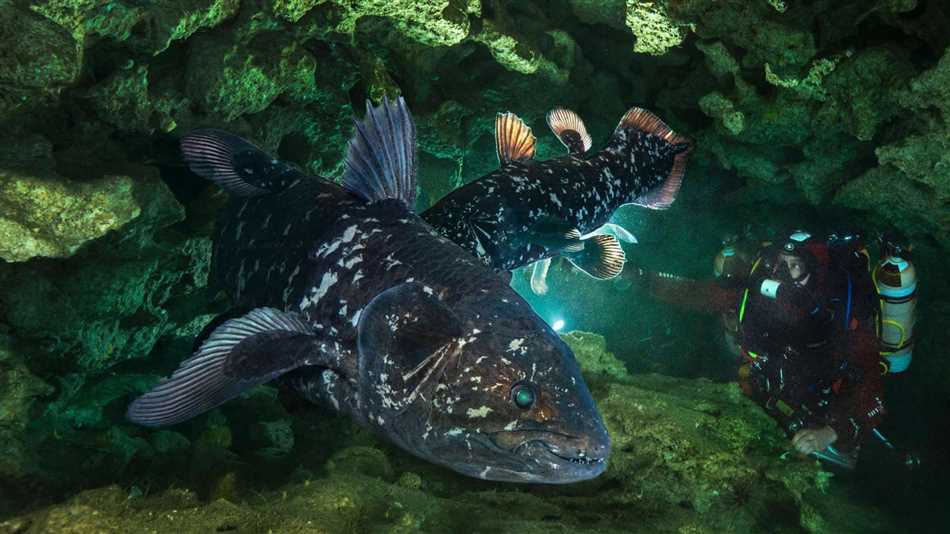 Самая древняя рыба на земле живущая до сих пор