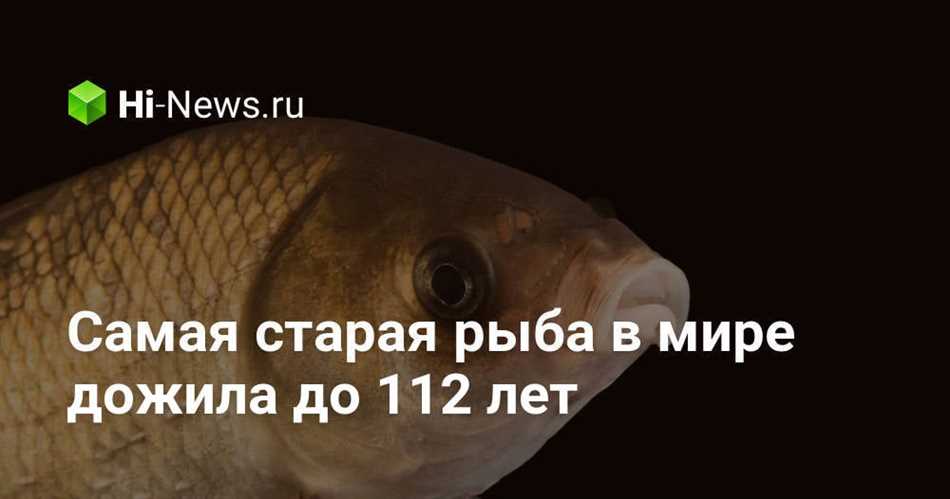 Орангутанг, рыба, настолько адаптивная, что выживает в горных реках
