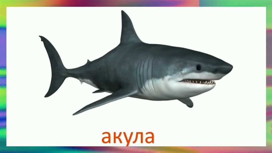 Стрипед марлин