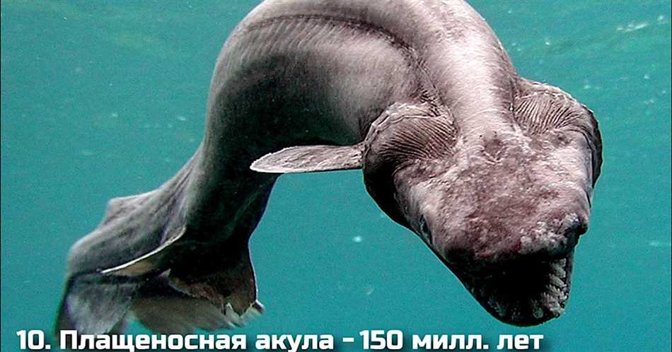 Эры и периоды древности