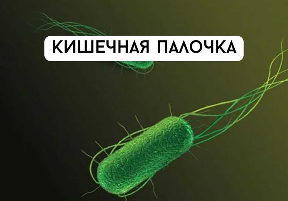 Бактерия Mycobacterium tuberculosis