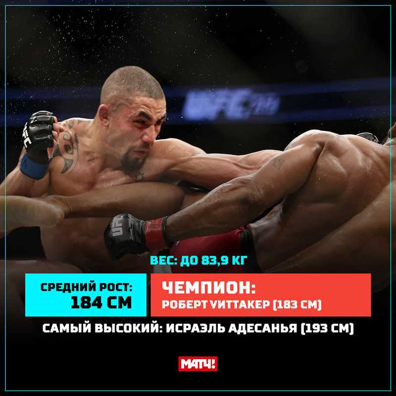 Раздел 3: MMA бойцы с художественной гимнастикой