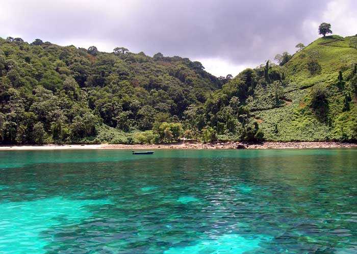 Самый большой из необитаемых островов в Тихом океане кокос