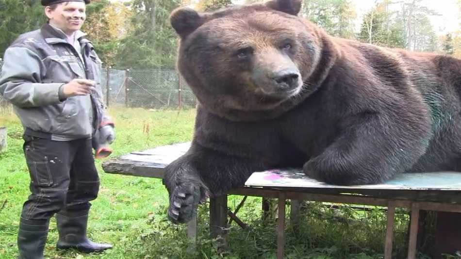 Размеры и вес 
