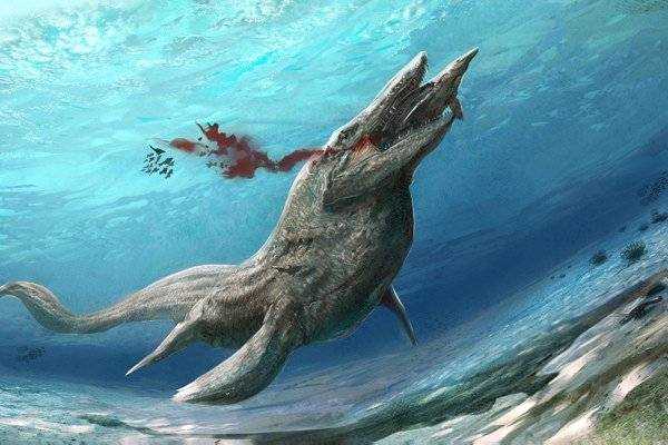 Разнообразие морских хищников