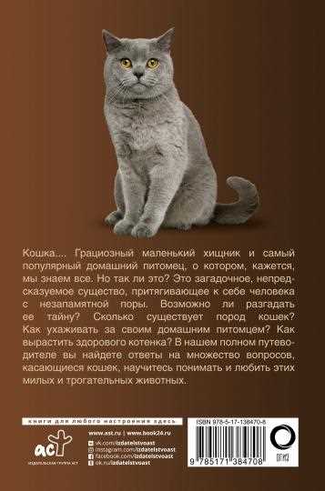 Как выбрать питомца и ухаживать за ним
