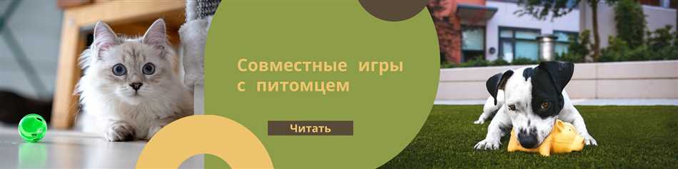 Что такое питомец и почему они так популярны?
