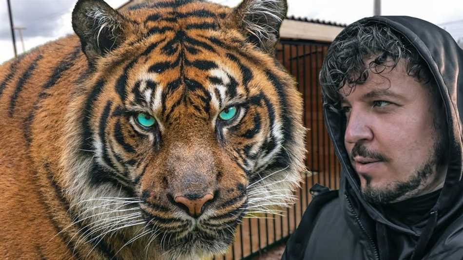 Быстрые результаты