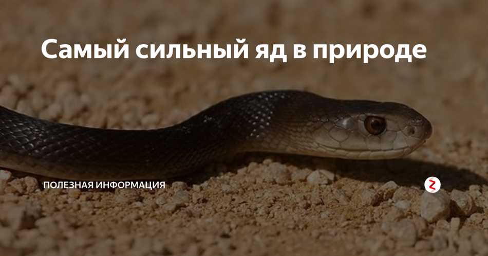 Раздел 2: Почему данный яд считается самым сильным