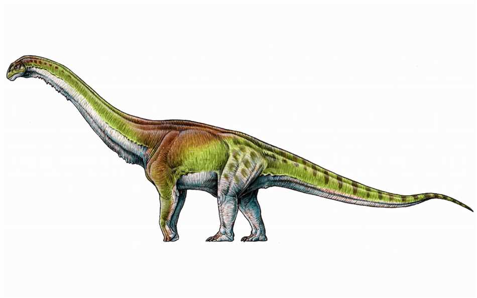 Самый тяжёлый динозавр в истории