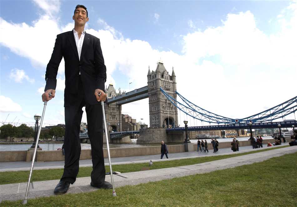 Рекорд самого высокого человека в мире на сегодняшний день