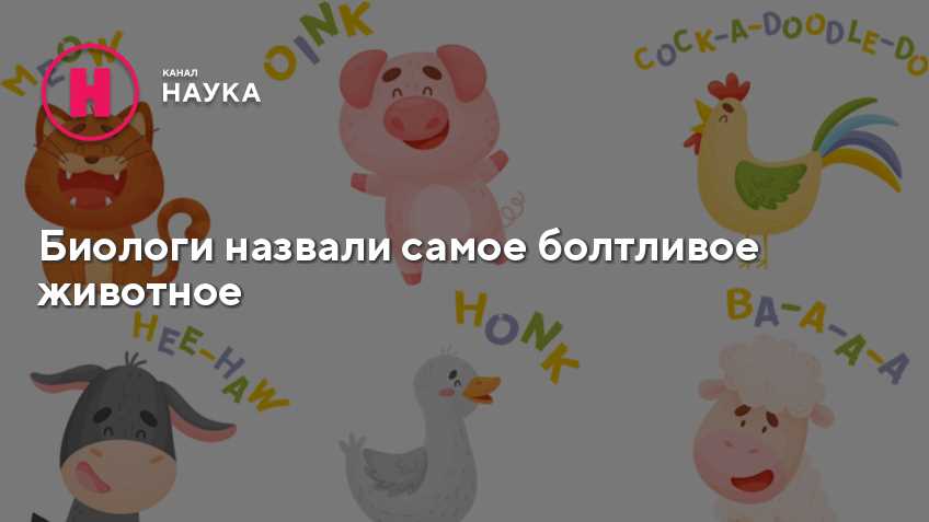 Как рыба многощетинковая выражает эмоции?