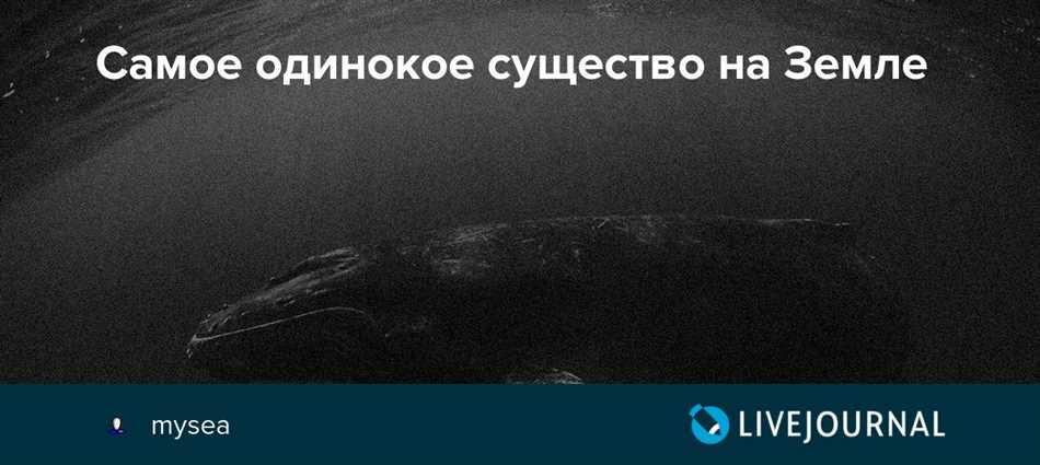 Самое одинокое животное