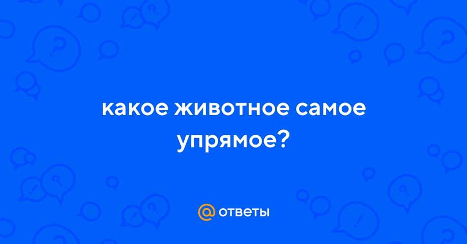 Определение упрямства
