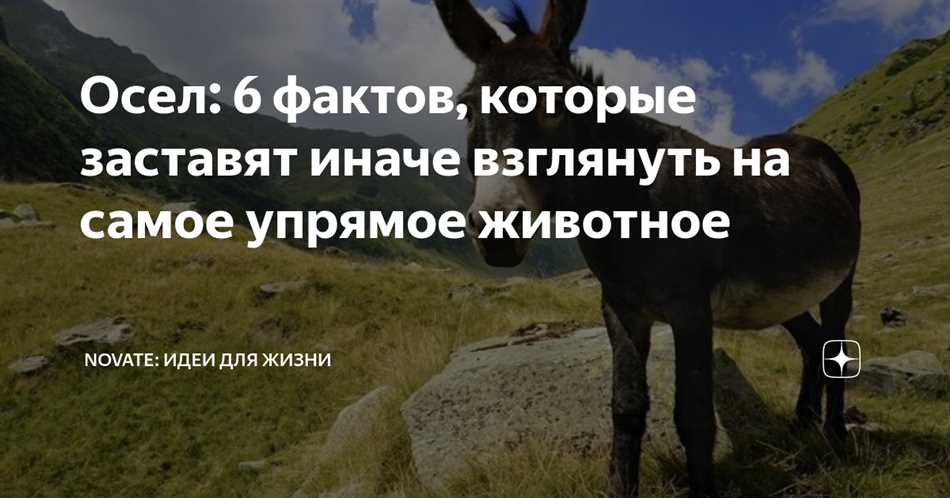 Упрямство в отказе от питания