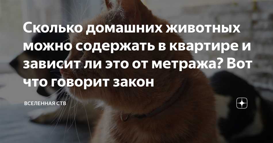 Пункт 2: Ограничения на количество и виды домашних животных
