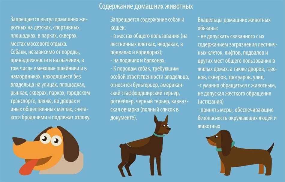 Раздел 2: Содержание собак в квартире