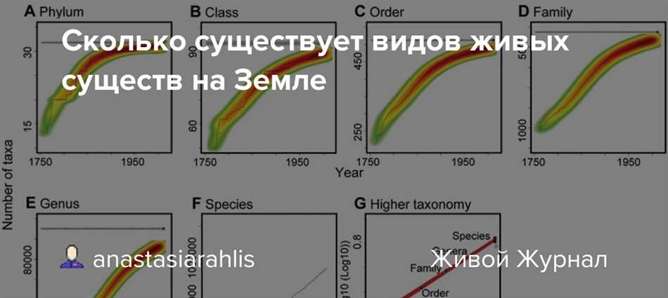 Насекомые